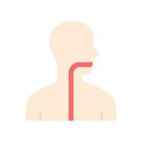 ícone de cor longa sombra de design plano de garganta saudável. cavidade oral, faringe e esôfago com boa saúde. seção superior do canal alimentar. trato gastrointestinal. ilustração da silhueta do vetor