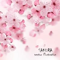 Cópia cor-de-rosa de Sakura da cereja vetor