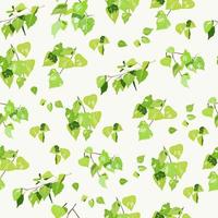 padrão de suculentas folhas verdes de bétula vetor