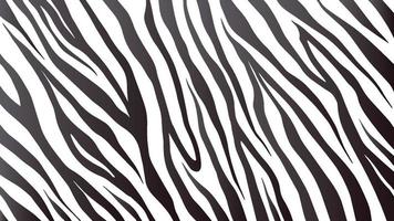 fundo de listras de zebra vetor