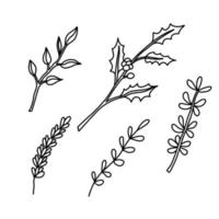 definido com plantas e ramos de azevinho. ilustração vetorial desenhada à mão isolada no branco vetor