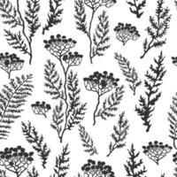 Vector fundo sem emenda com ilustrações desenhadas à mão de ervas ou plantas pretas no campo branco. pode ser usado para papel de parede, preenchimentos de padrão, página da web, texturas de superfície, impressão em tecido, papel de embrulho