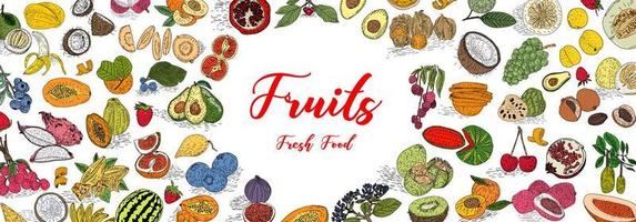 coleção de frutas em estilo desenhado de mão plana, conjunto de ilustrações.