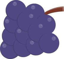 ícone plano de uvas vetor