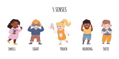 crianças conceito de cinco sentidos. sentido da visão, tato, audição, olfato, ilustração vetorial de sabor. vetor