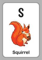flashcards de educação do alfabeto animal - s para esquilo vetor