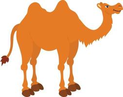 ilustração em vetor de camelo isolado no fundo branco. camelo clipart