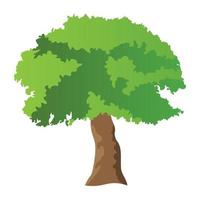 conceitos de árvore basswood vetor