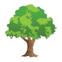conceitos de árvore de bonsai vetor