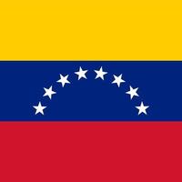 bandeira nacional da praça da venezuela vetor