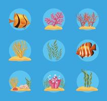nove ícones da vida marinha vetor