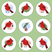 pássaros cardeais do norte e conjunto de ícones de brinquedos de Natal. vetor