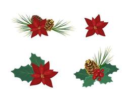 conjunto de composições florísticas de Natal, decorações festivas de inverno para o ano novo e um presente. flor de amendoim vermelha de natal com agulhas de pinheiro, folhas de azevinho e pinha dourada vetor