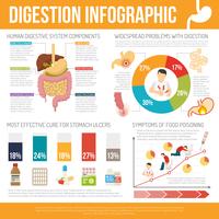 Conjunto de infográfico de digestão vetor