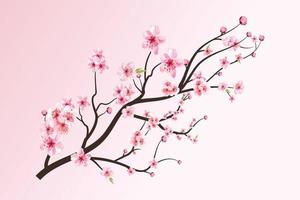 flor de cerejeira com aquarela florescendo sakura. ramo de flor de sakura aquarela realista. vetor de flor de cerejeira japonesa. ramo de cerejeira com flor de sakura. ramo de flor de cerejeira.