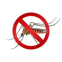 Mosquito vetor