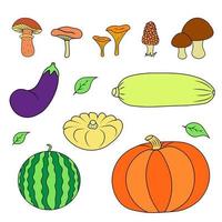 conjunto de vegetais e cogumelos. ilustração de abóbora, abobrinha, abóbora, berinjela. vetor