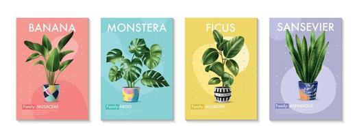 cartazes de plantas domésticas vetor