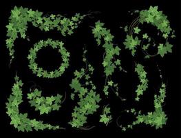 composição de planta trepadeira ivy vetor