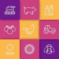 fazenda, conjunto de ícones de linha de fazenda, galinha e ovos, porco, colheita, vegetais, girassol, colheita, coelhos, ilustração vetorial vetor