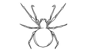 Ilustração em vetor Lineart de uma aranha