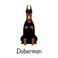 vetor cão fofo doberman pinscher