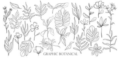 planta e flor definem o estilo desenhado de drawing.hand. vetor