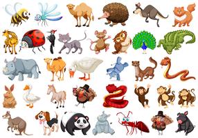Conjunto de animais dos desenhos animados vetor