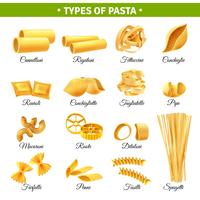 Tipos de Macarrão Infográficos vetor