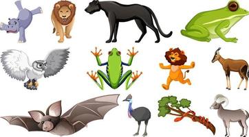 conjunto de diferentes personagens de desenhos animados de animais selvagens vetor