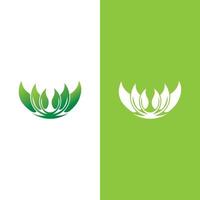 logotipos da ecologia de folhas verdes vetor