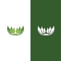 logotipos da ecologia de folhas verdes vetor