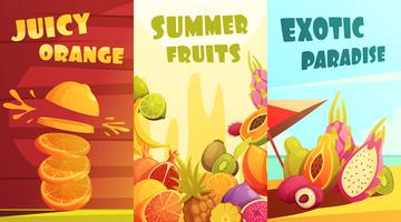 Frutas exóticas verticais Banners Cartoon Poster vetor