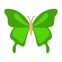 borboleta verde rabo de andorinha vetor