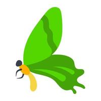 borboleta voadora rabo de andorinha vetor