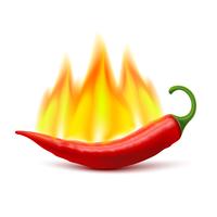 Imagem de vagem de pimenta quente em chamas vetor