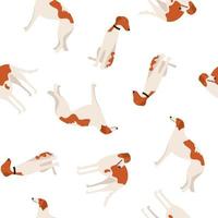 padrão sem emenda com raça de cachorro galgo russo ou borzoi. design de tecido com cães dos desenhos animados. ilustração vetorial de um apartamento para animais de estimação vetor