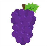 ilustração de vetor de uva pode ser usada para negócios