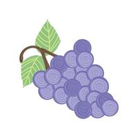 ícone de uvas frescas vetor