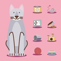 ícones de animais de estimação de gato vetor