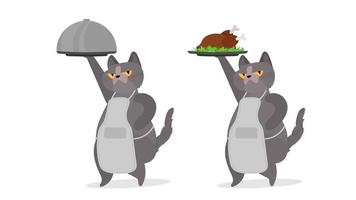 gato engraçado segura um prato de metal com tampa. um gato com um olhar engraçado. bom para adesivos, cartões e camisetas. isolado. vetor. vetor