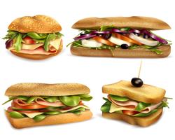 Conjunto realista de sanduíches frescos saudável ingrediente vetor