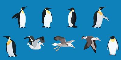 albatrozes e pinguins compilação estilo plano vetor