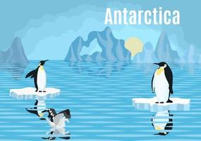 pôster pinguins no iceberg antártica albatroz vetor