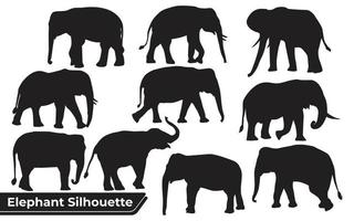 coleção de silhuetas de elefantes animais em diferentes posições vetor