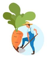 colheitas de raízes, colheita de ícone de conceito plana. trabalhador rural, agricultor cavando cenoura. etiqueta da colheita de outono, clipart. produtos orgânicos, cultivo de vegetais ecológicos e agricultura. ilustração isolada dos desenhos animados vetor