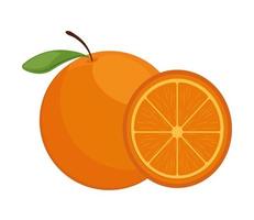 fruta laranja fresca vetor