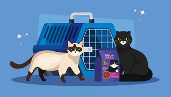 gatos com comida na sacola e na caixa de transporte para animais de estimação vetor
