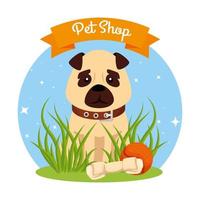 veterinário de pet shop com cachorro fofo e ícones vetor