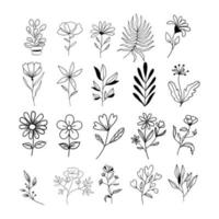 coleção de folhas florais de arte de linha botânica. conjunto de plantas. mão desenhada esboço ramos isolados no fundo branco. ilustração vetorial vetor